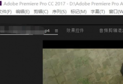 p视频,揭秘其背后的故事与影响